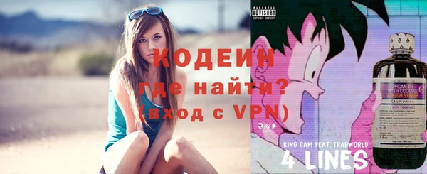 крисы Мегион