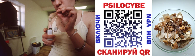 Галлюциногенные грибы Cubensis  Мостовской 